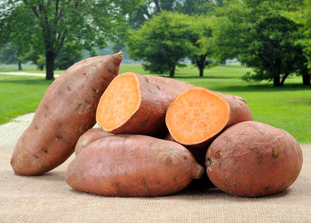 sweet potatoes, nutrition