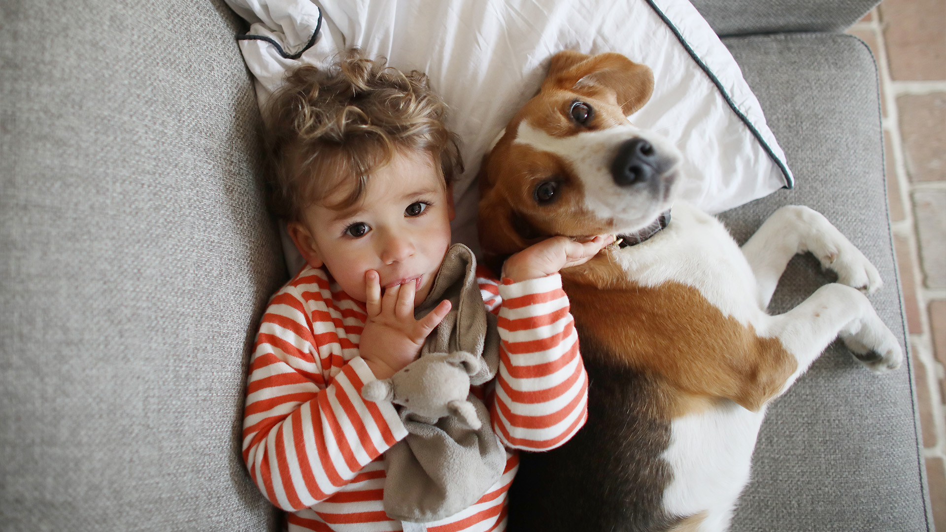 Child lying on couch with beagle