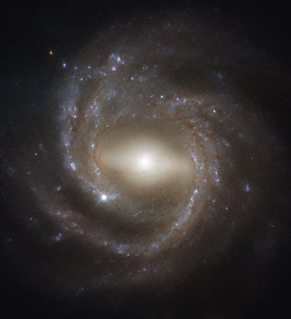 This Gorgeous Spiral Galaxy Photo May Hold Clues About Our Milky Way's Inner Workings