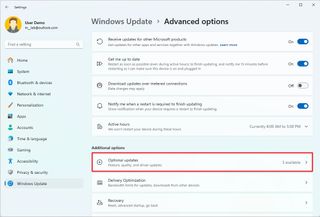 Windows 11 Optional updates