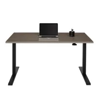 Realspace Magellan adjustable standing desk in gray:$399.99