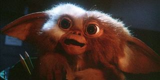 Gizmo, the head Gremlin