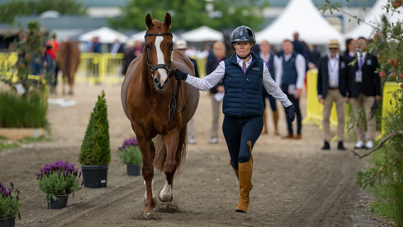 Nina Venables presents Sakura for Georgia WIlson at the World Para Dressage Championships trot-up