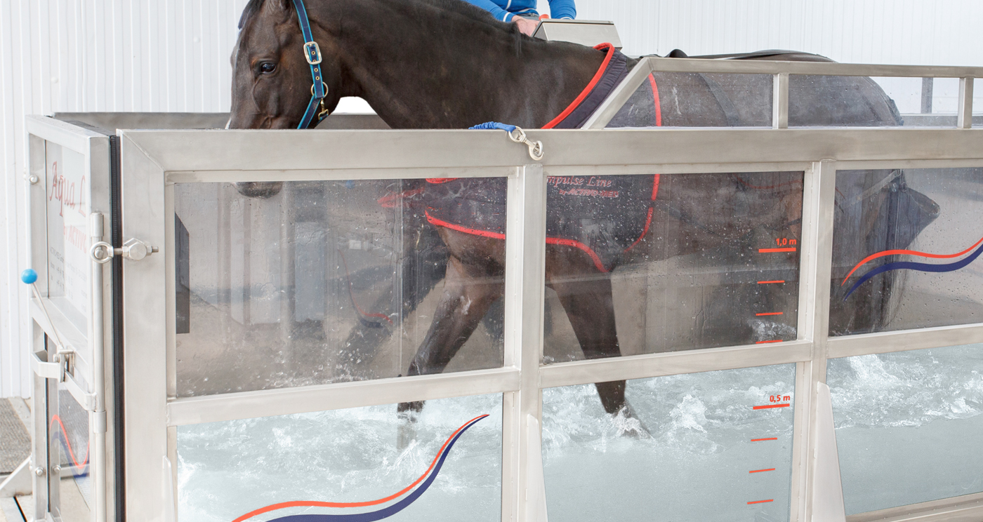 Equine-Water-Treadmill