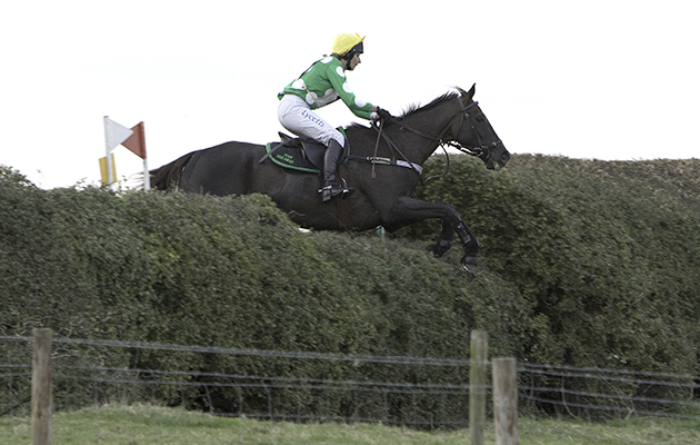 Denman enjoyed his 'retirement' team chasing under Charlotte Alexander &amp;mdash; here finishing second as part of Team Ride Away in the intermediate class at Pytchley team chase in 2015