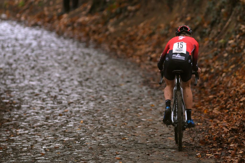 Kastelijn on the Koppenberg