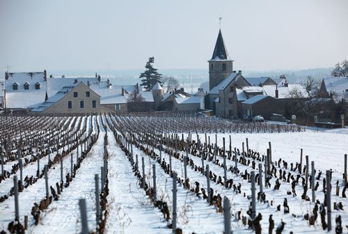 joy of terroir, terroir,