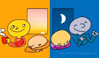 illustration showing early bird and night owl personalities