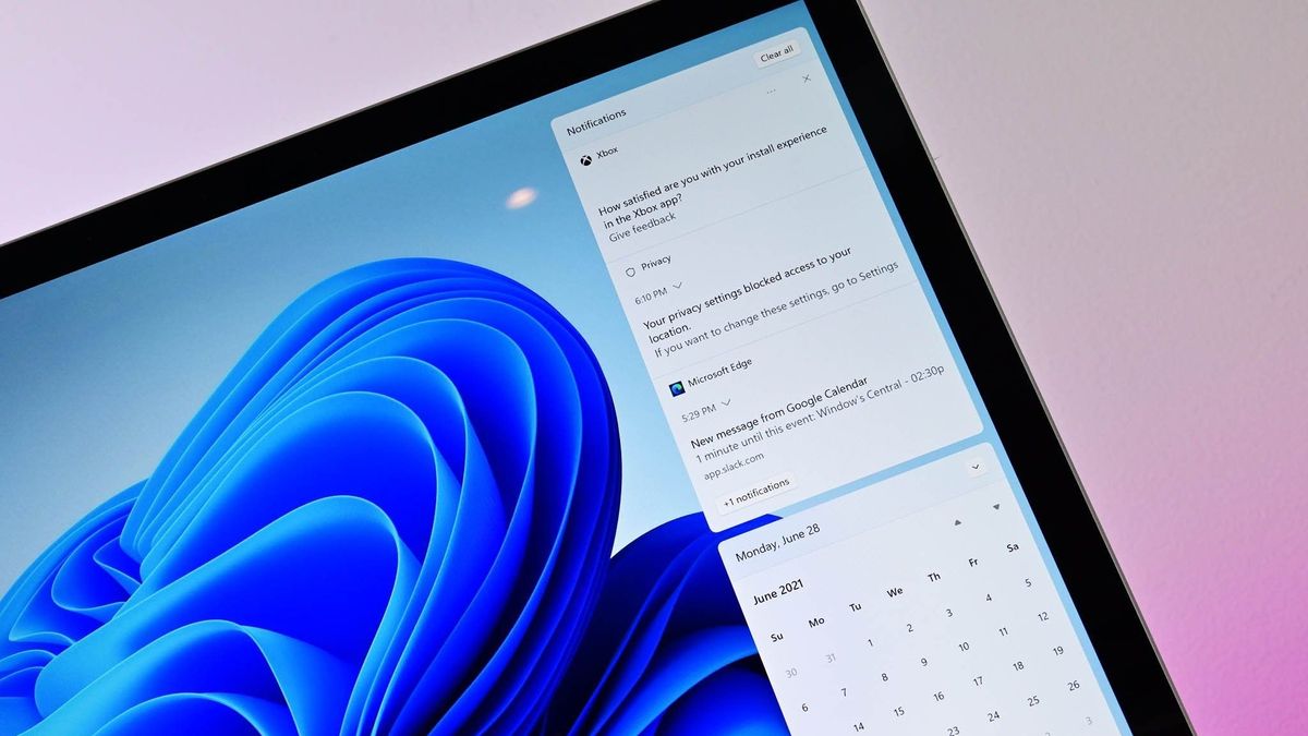 Notifications on the Windows 11 desktop