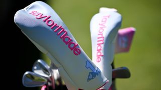 Bag of women's golf clubs
