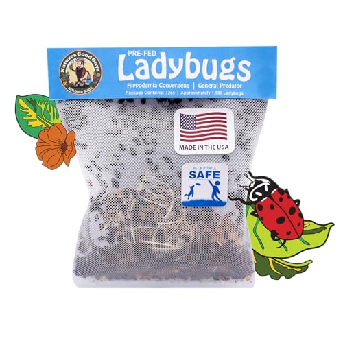 Naturesgoodguys - Live Ladybugs -150 Live Ladybugs