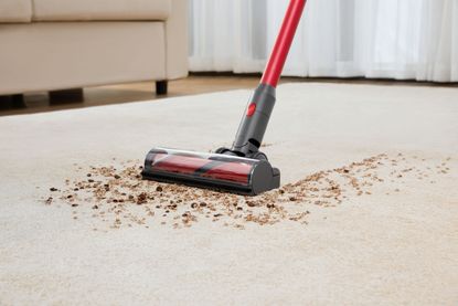 Best cordless vacuum cleaners of 2024