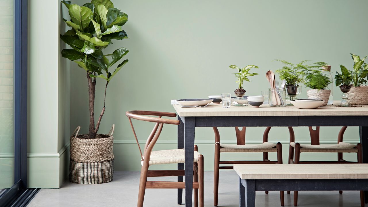 Sage green dining room with white and wooden dining room table and chairs, with plants