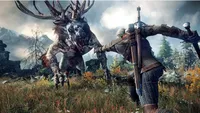   Witcher 3: Wild Hunt