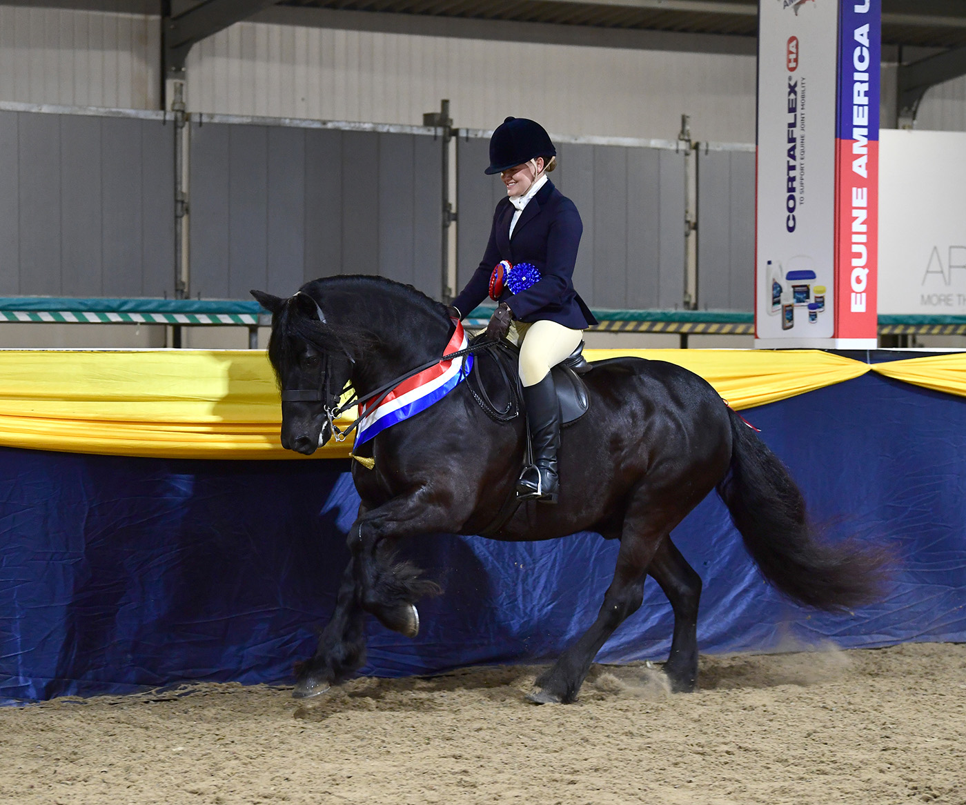 Heritage Show 15.10.2379216