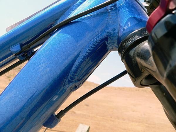 Even the clean downtube gusset