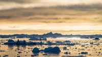 The Ilulissat Icefjord in Greenland on July 3, 2024. The glacier is calving enough ice daily to meet New York City's water needs for an entire year.