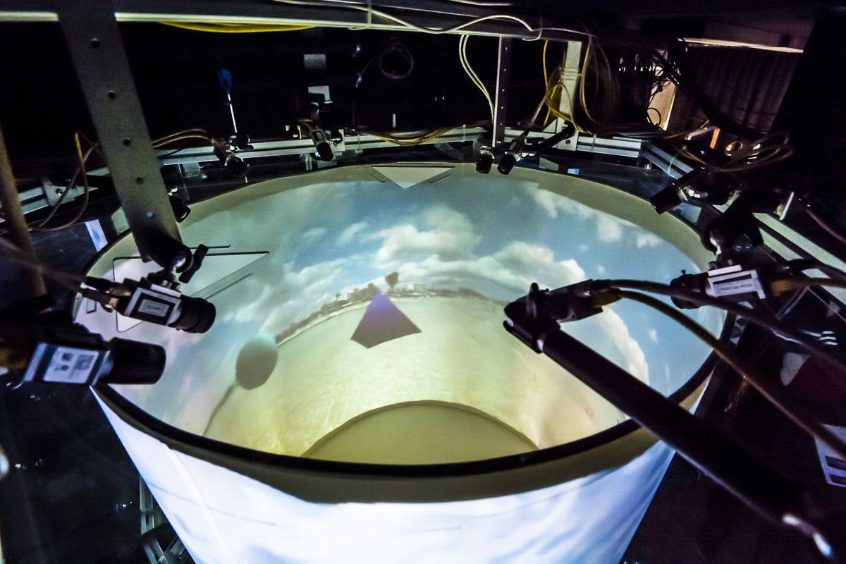 Scientists Built a Virtual Reality 'Holodeck' for Lab Animals | Live ...