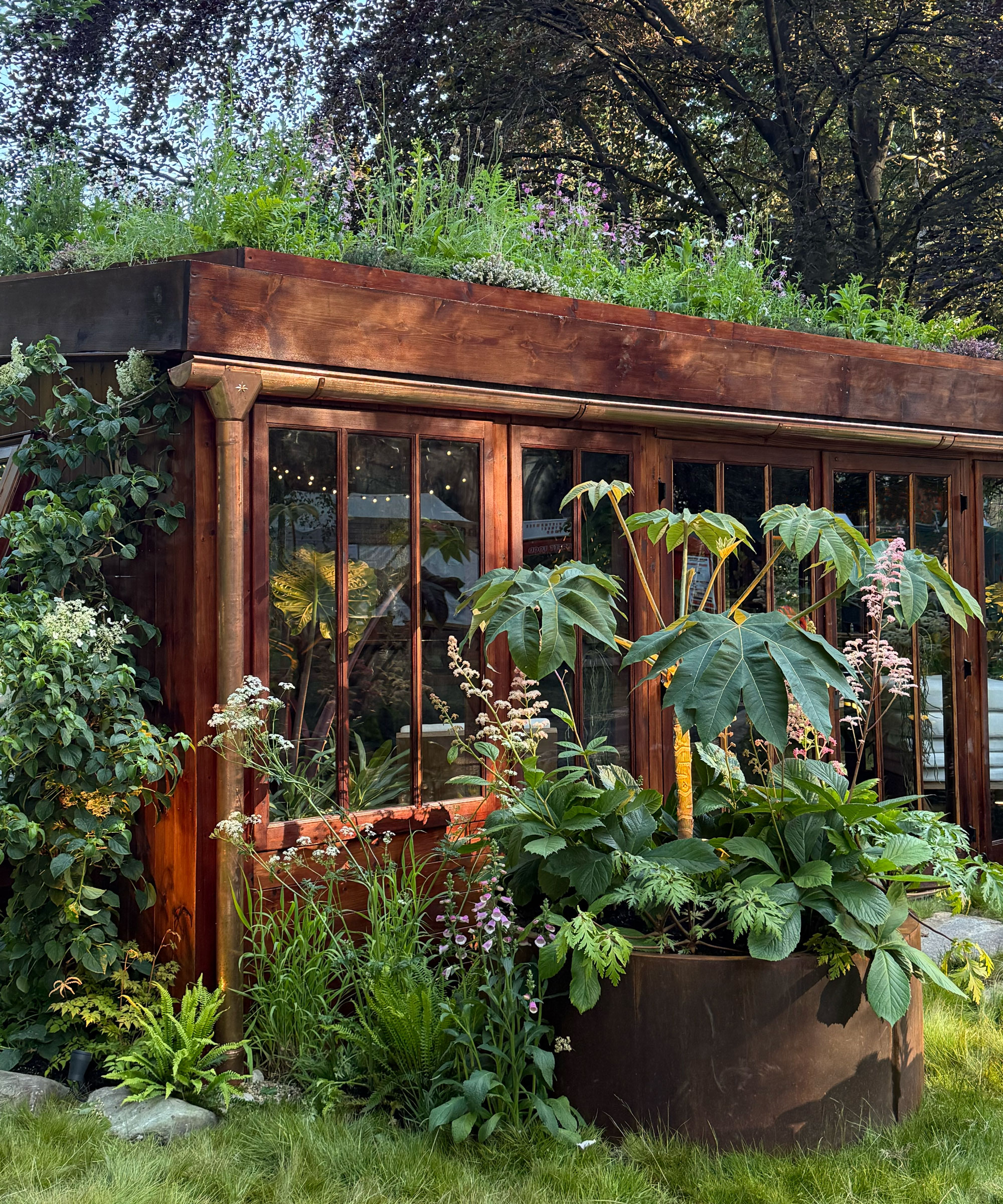 garden cabin with green roof, supersized planter and lawn