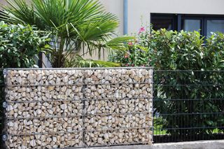 gabion wall with tropical plants