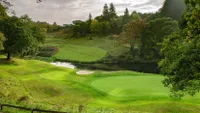 ST MELLION