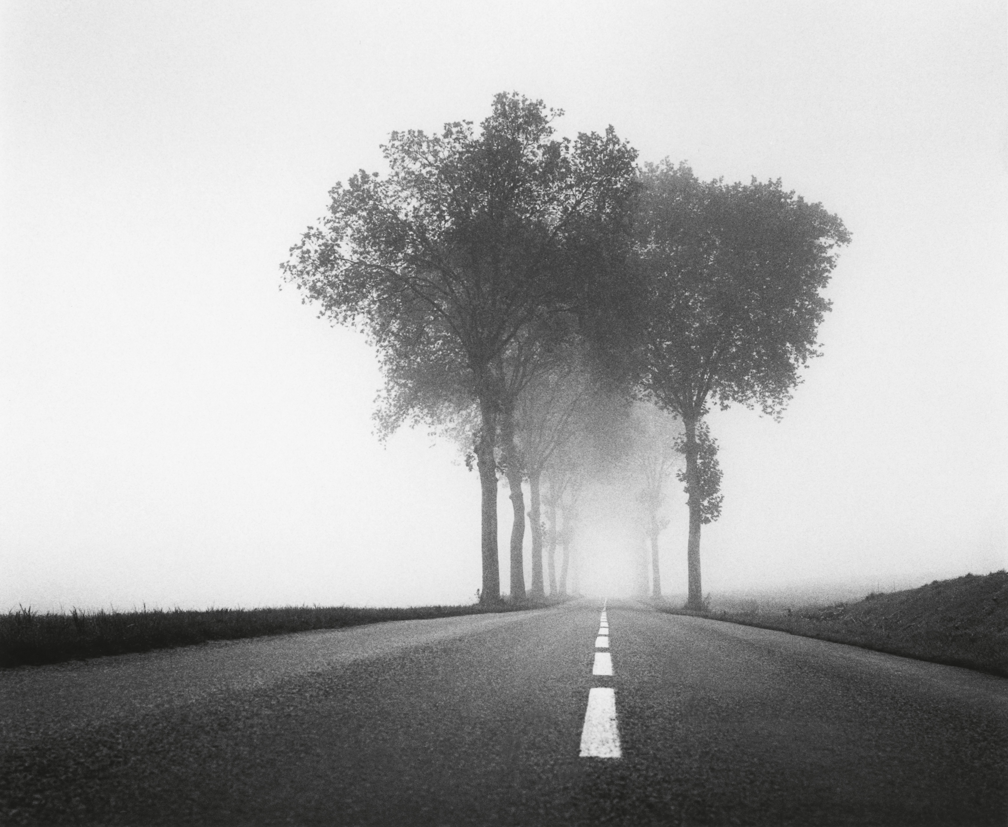 A symmetrical view looking down a misty, paved road lined with tall trees that disappear into a thick white fog.