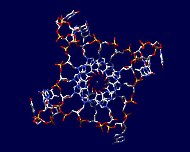 dna, four-stranded dna, genetics, genes, dna images