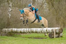 How to get a sponsor: Equine insurance A Fjord horse competing in a cross-country competition
