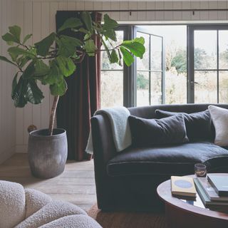 A wall-panelled living room with a dark sofa, a large houseplant and wooden floors