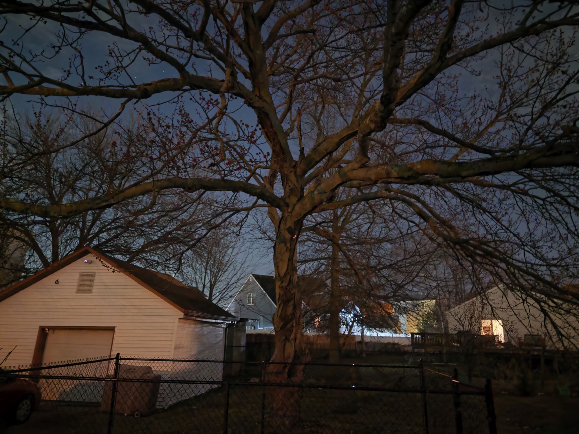 Samsung Galaxy S26 Ultra low light sample.