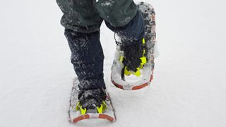 Snowshoes in the snow