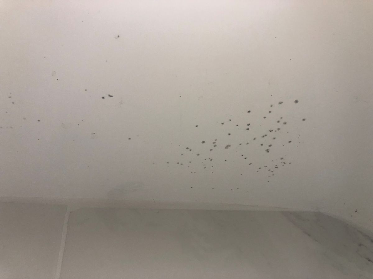 Mould on the white ceiling of my bathroom