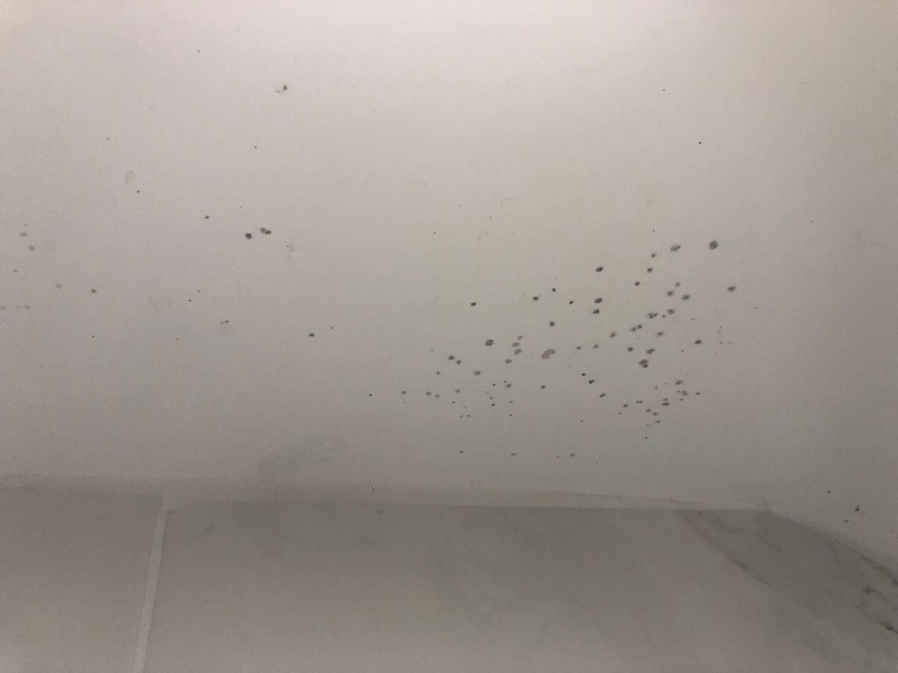 Mould on the white ceiling of my bathroom