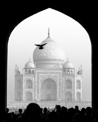 Markus' image of the Taj Mahal is entitled "Stand Out from the Crowd." It was shortlisted in the main competition