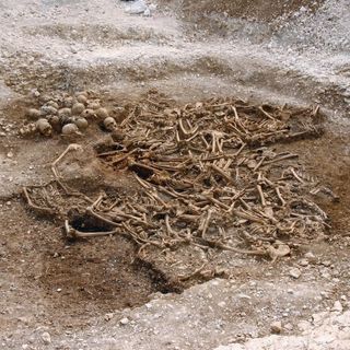 Researchers analyzed the DNA from some remains found in a mass grave of 50 headless Vikings in Dorset, U.K.