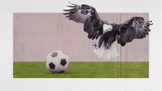 Photo collage of a bald eagle swooping on to a soccer pitch to grab the ball in its talons.