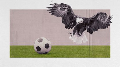 Photo collage of a bald eagle swooping on to a soccer pitch to grab the ball in its talons.