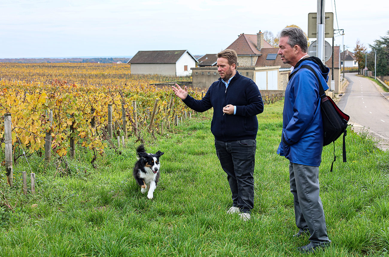 Chambolle-Musigny 2024