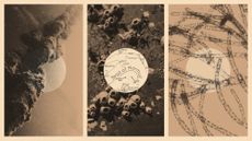 Photo collage illustration of barnacles on a ship's hull, marine algae under magnification, and a crusty anchor chain and a map of the Strait of Hormuz