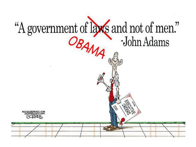 Obama cartoon executive order