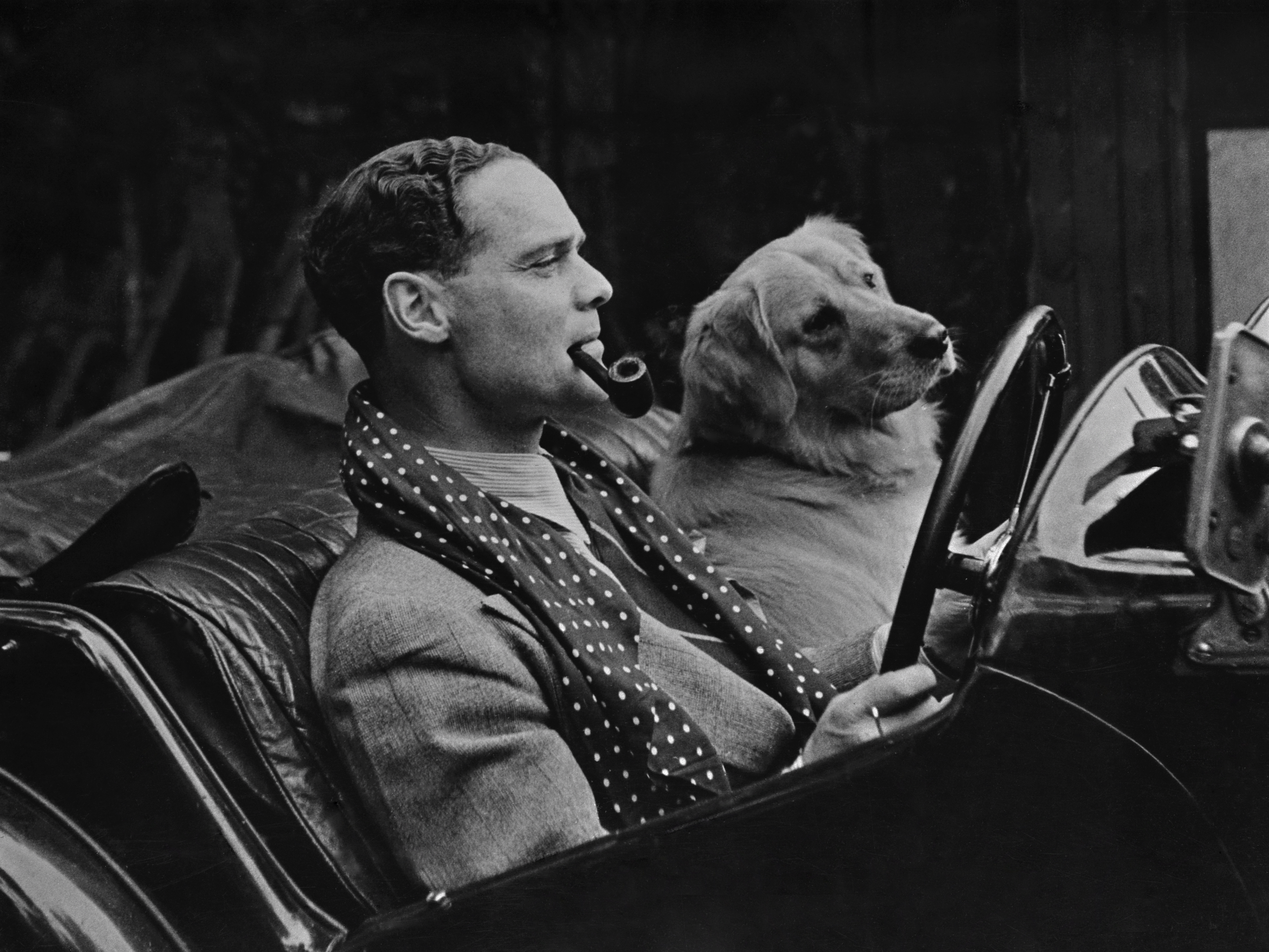 A man in a suit and polka-dot scarf sits behind the wheel of an open-top roadster, smoking a pipe, while a Golden Retriever sits upright beside him in the passenger seat. The car’s leather interior and classic dashboard are visible in the foreground.