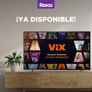 Roku Vix Lifestyle