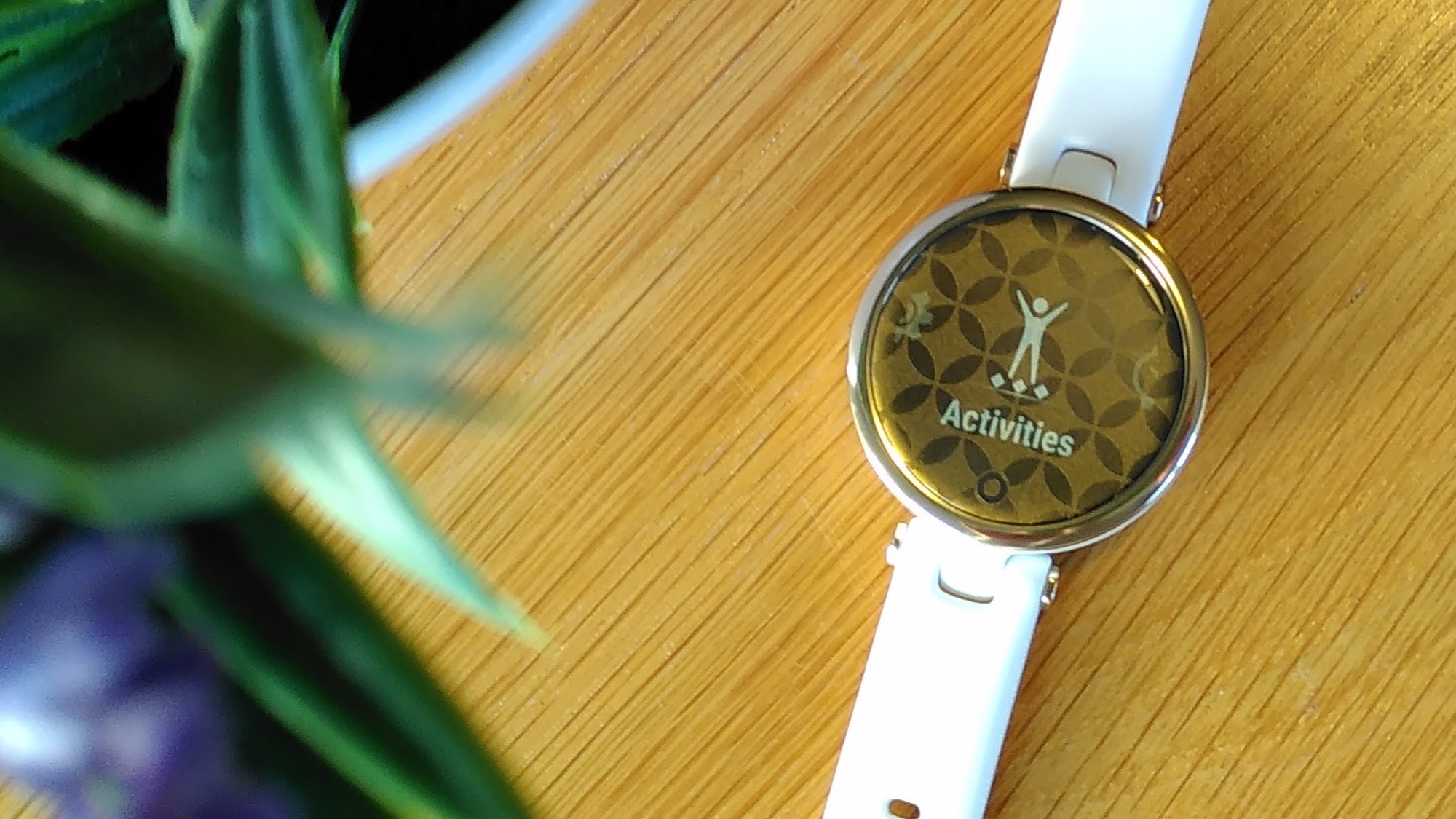 Garmin is preparing to release a hybrid smartwatch Lily 2, here's how the  novelty will look like