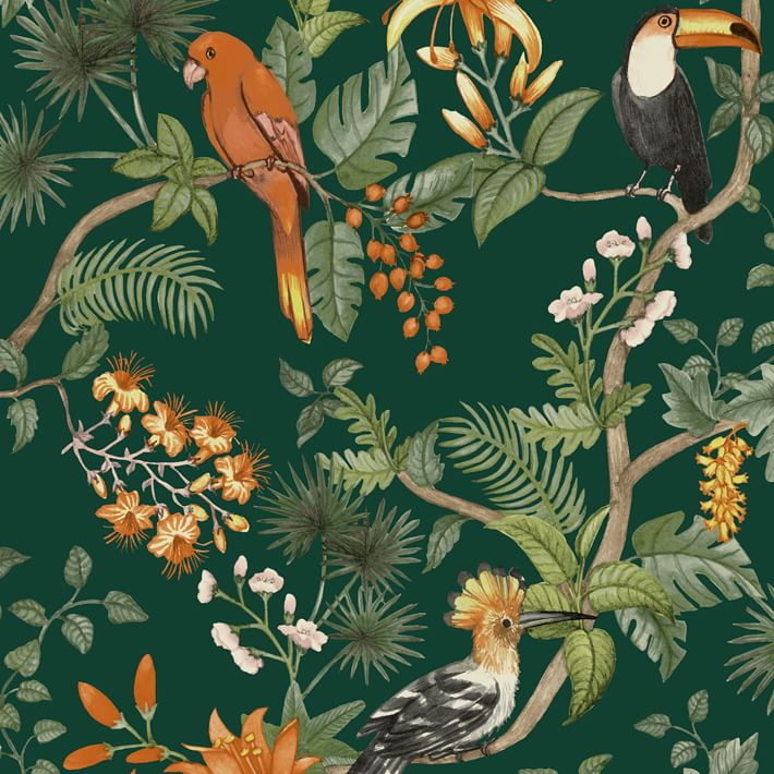 floral/botanical wallpaper