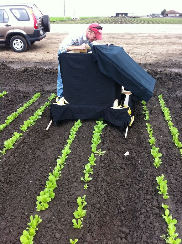 Photo of a prototype of the weeding robot