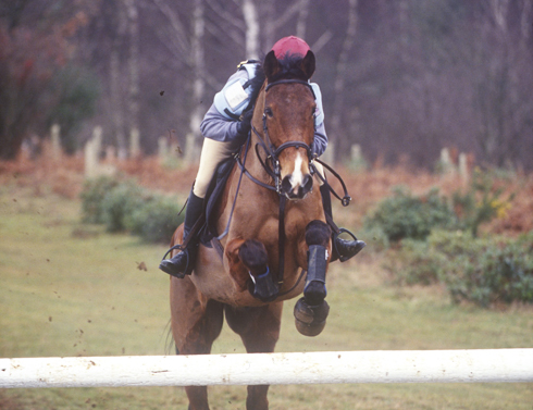 Stilemans horse trials 2004