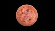 An artist's rendering of venus