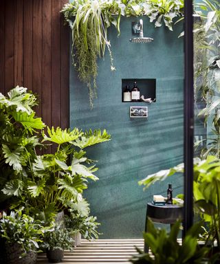 Outdoor bathroom with shower cubby and plants