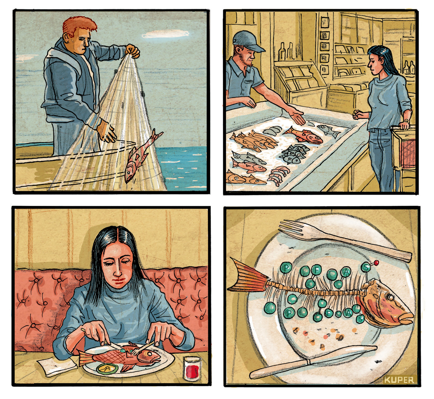 This is a four-panel political cartoon. It depicts a professional fisherman catching a fish, then that fish being sold to a woman at a store, and then that woman eating the fish. The final frame shows the bones of the eaten fish with the letters “PFAS” to depict forever chemicals contained within the fish.