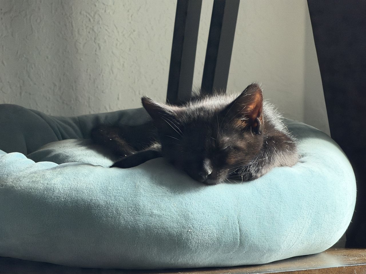 Camera image samples taken with an iPhone 17 Pro Max
